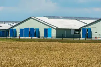 Agricultural building clad in insulated metal panels